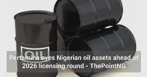 Oil