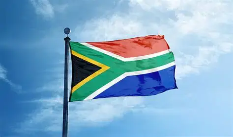 South African ostriches plucked alive for luxury fashion — Report