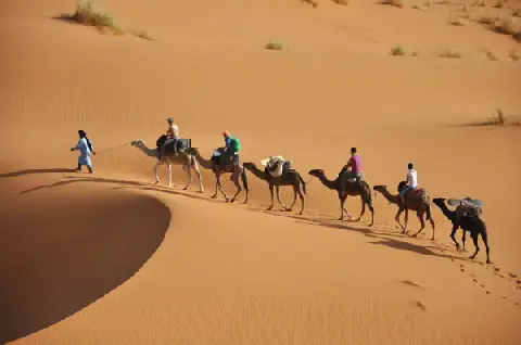 Algeria promotes tourism in China through virtual participation