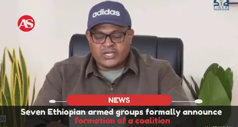 Seven Ethiopian Armed Groups Form Alliance to Oppose Abiy Ahmed's Government