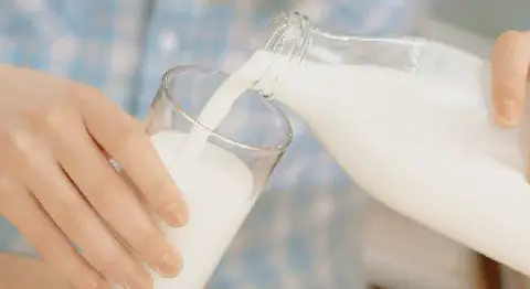 Tunisia Sets Adjustable Stock of Pasteurized Fresh Milk and Peak Production Period