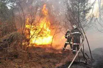 2018 Sees Decrease in Noyades and Forest Fires in Béjaïa, Algeria