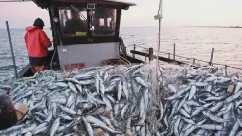 Tunisia Sets 2026-2027 Hunting Season Dates and Regulations
