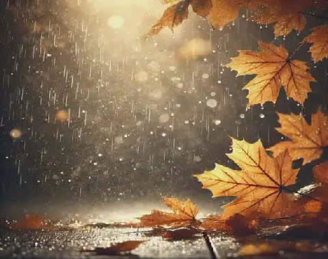 Tunisia Weather Forecast: Heavy Rain and Temperature Fluctuations Expected