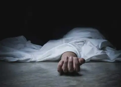 Egyptian Man Sentenced to Life in Prison for Killing Mother