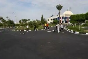 Suez Canal University Issues Statement on Circulating Dog Video