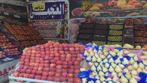 Egypt Takes Proactive Measures to Address Global Market Fluctuations