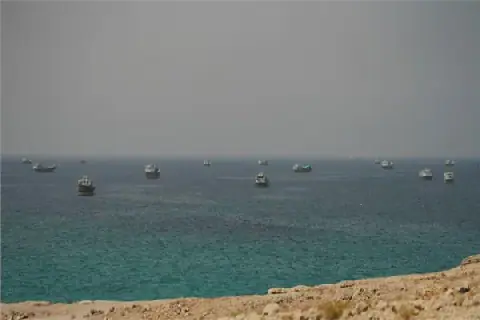 Iran Offers to Open Strait of Hormuz If US Eases Pressure