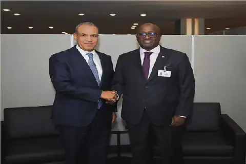 Egypt, Rwanda Discuss Enhancing Peace, Security, and Development in Africa