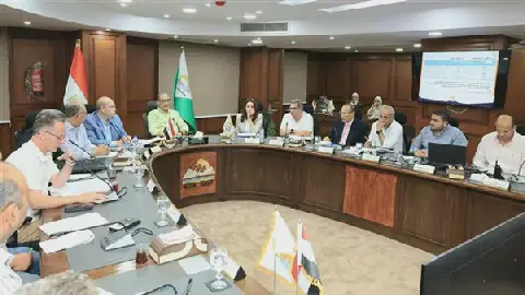 Egyptian Governor Orders Comprehensive Study for Faisal Street Development