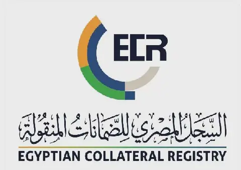 «الرقابة المالية» تُطلق حوارًا موسعًا لتطوير خدمات السجل المصري للضمانات المنقولة وتعزيز التحول الرقمي