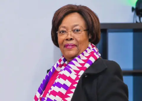 Former NPP Vice Chairperson Sophia Horner-Sam dies