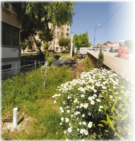 Algerian Experts Emphasize Importance of Green Spaces for Quality of Life