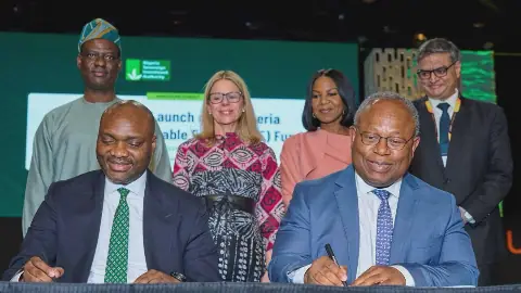 Nigeria Launches $300m Distributed Renewable Energy Fund
