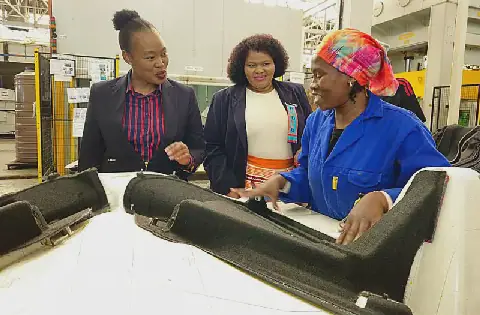 Small business minister pushes for localised manufacturing in auto sector