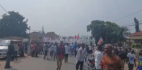 Supporters of President Tshisekedi Hold Peaceful Pro-Democracy March in Kinshasa