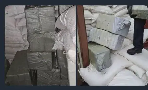 Frequency, magnitude of recent drug trafficking cases worrying – Security analyst
