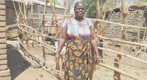 Lilongwe communities praise social cash transfers for improving livelihoods