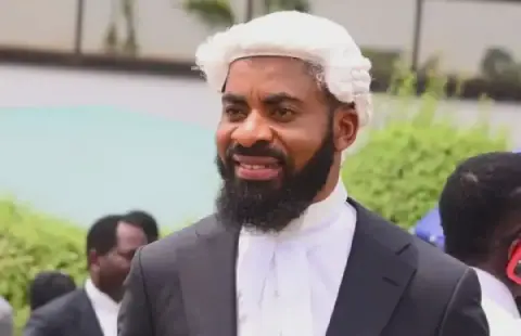 CSOs Call for Removal of Deji Adeyanju from Niger Illegal Miners Death Probe
