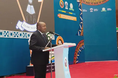 Tanzania calls on Africa to adopt curriculum that keeps pace with scientific advances, labour-market demands
