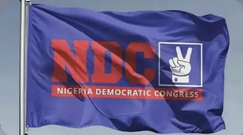Nigeria's NDC to Launch Presidential Campaign Council Soon