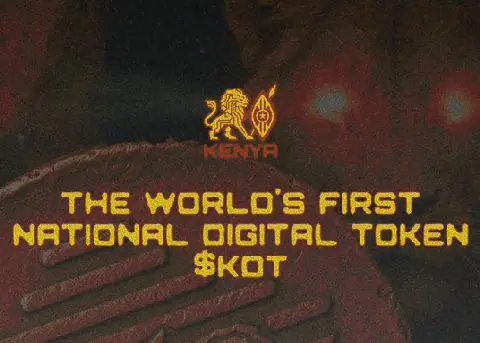 Kenya Digital Token Raises Concerns Over Liquidity Risks
