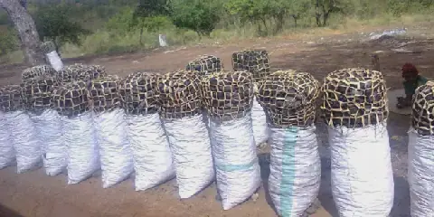 The hidden environmental cost of traditional fuel use in Tanzania