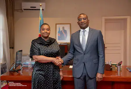 RDC Examines Priorities for International Cooperation and Development Aid