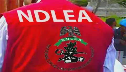 NDLEA Warns Delta Students Against Dangers of Illicit Drugs