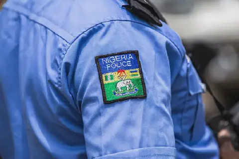 Only State Police Bill Sent to 36 State Assemblies, NASS Clarifies
