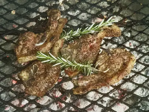 A pair of meaty recipes to plan for Braai Day