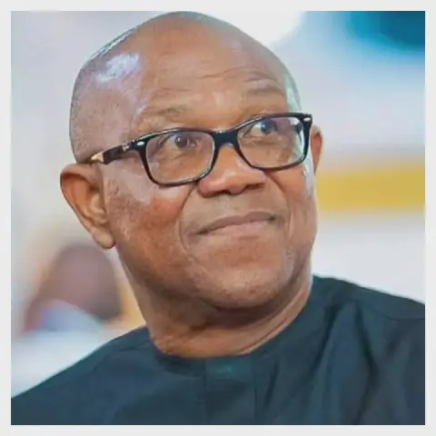 Anambra Govt Challenges Peter Obi to Quit Presidential Race