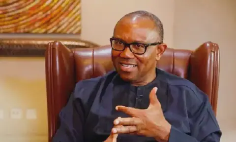 APC PCC demands Peter Obi’s resignation over 'falsified' Anambra record