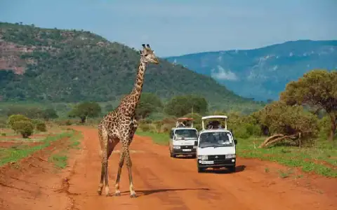 Kenya ranks eighth in regional conservation outlook