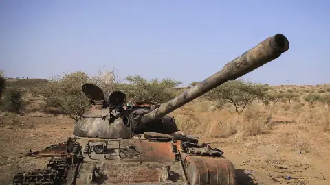 Seven Ethiopian Rebel Groups Form New Alliance to Challenge Government