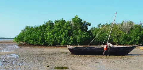 Rising Sea Levels Threaten Livelihoods in Tanzania's Pangani District