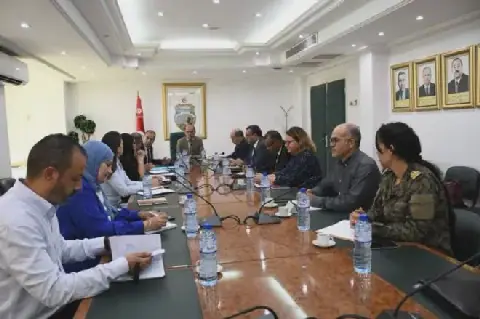 Tunisia Moves to Enhance Coordination on ELMED Electric Project