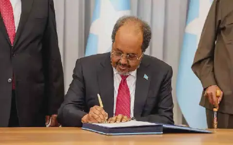 Somalia's Governance Model Failing 21 Years After Mbagathi Agreement