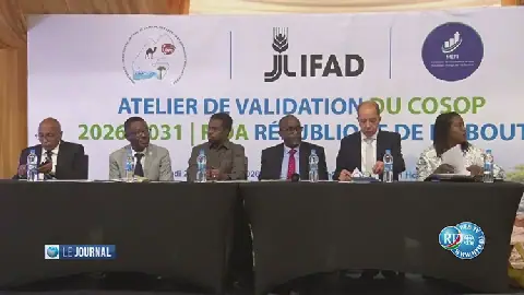 Djibouti's Agriculture Minister Hosts Workshop to Validate Strategic Options Program