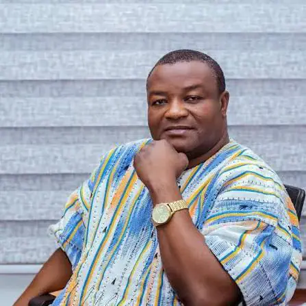 Protect strategic assets, prioritise local ownership in PPPs – Hassan Ayariga