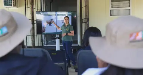 South Africa Sees Progress in Rhino Conservation Efforts