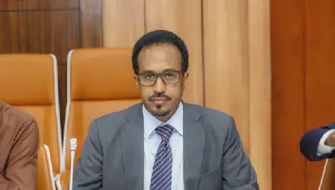 Somalia seeks to reduce reliance on $9 billion in annual imports