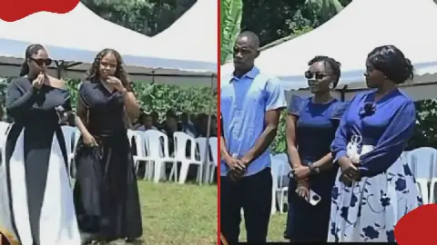 Watub wa Bosco