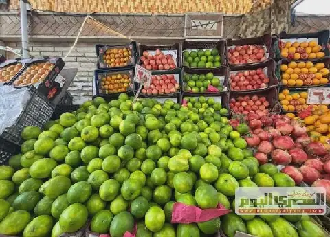 Prices of Tomatoes, Vegetables, and Fruits in Eastern Egypt on Wednesday, September 23, 2026
