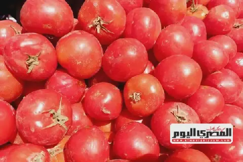 Vegetable and Fruit Prices Stable in Matruh Governorate on Wednesday