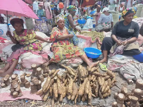 Food Prices Soar in Goma, Democratic Republic of Congo