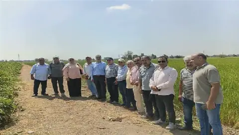 Egyptian Governor Emphasizes Importance of Field Monitoring for Agricultural Activities