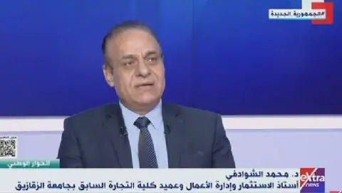 Egyptian Economist Predicts Central Bank to Keep Interest Rates Steady