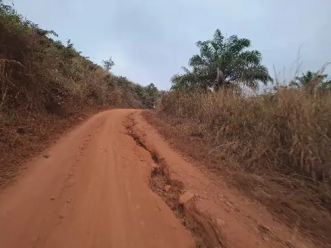 Residents of Mbanza-Ngungu mobilize to rehabilitate agricultural roads