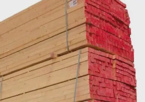 Egyptian Wood Prices Remain Steady on Wednesday